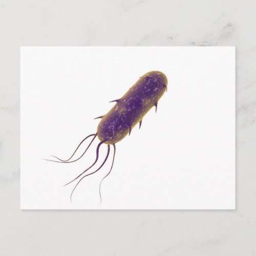 Conceptual Image Of Flagellate Bacterium 2 Postcard