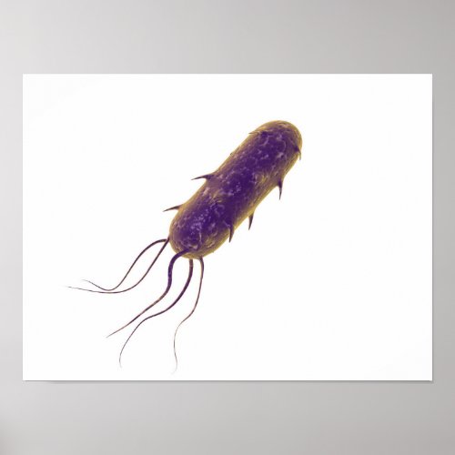 Conceptual Image Of Flagellate Bacterium 2 Poster