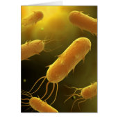 Conceptual Image Of Flagellate Bacterium 3 (Front)