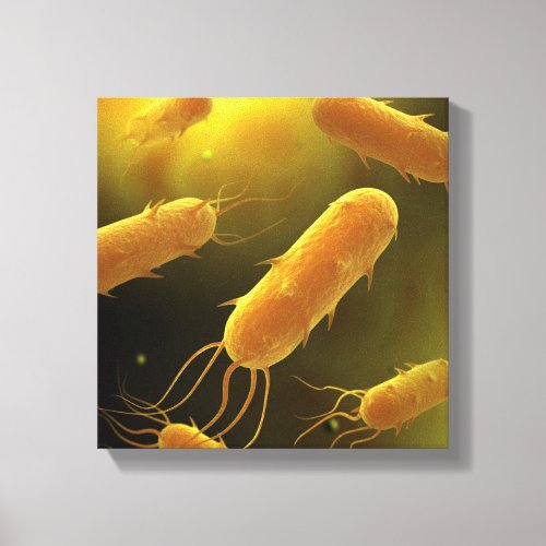 Conceptual Image Of Flagellate Bacterium 3 Canvas Print