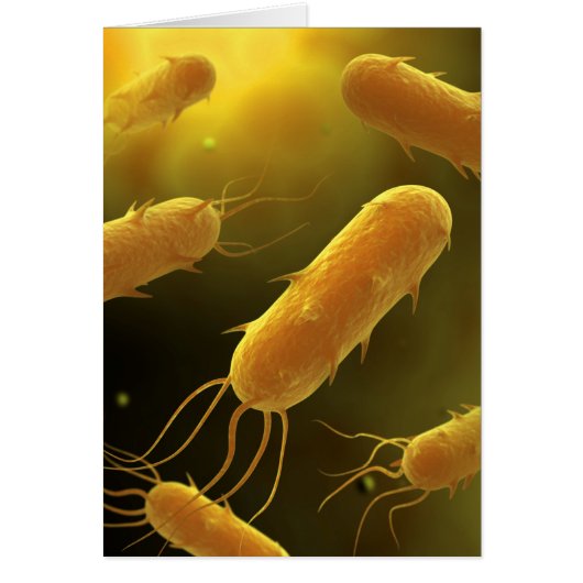Conceptual Image Of Flagellate Bacterium 3 Cards (Front)