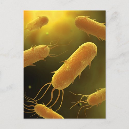 Conceptual Image Of Flagellate Bacterium 3 Postcard
