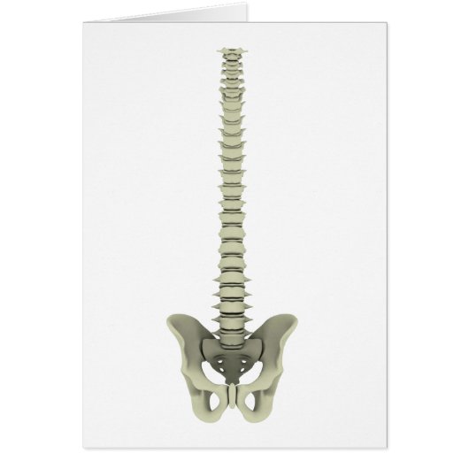 Conceptual Image Of Human Backbone 1 Cards (Front)