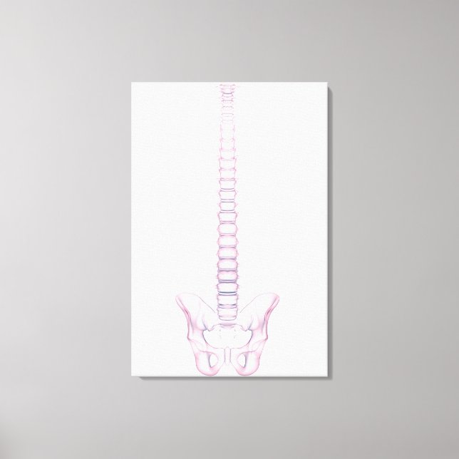 Conceptual Image Of Human Backbone 2 Canvas Print (Front)