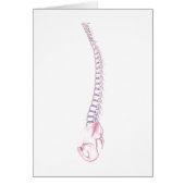 Conceptual Image Of Human Backbone 3 (Front)