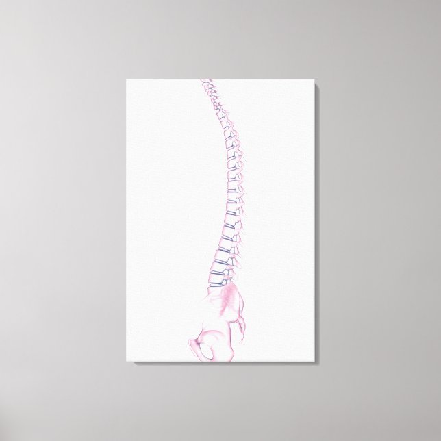 Conceptual Image Of Human Backbone 3 Canvas Print (Front)