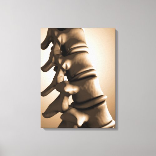 Conceptual Image Of Human Backbone 4 Canvas Print