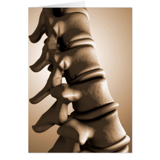 Conceptual Image Of Human Backbone 4 Cards (Front)