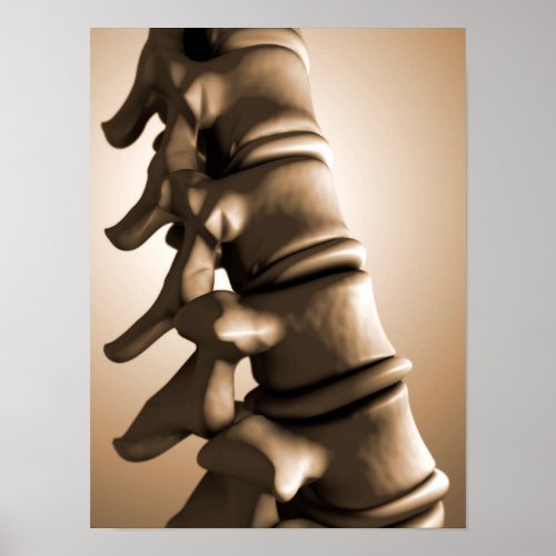 Conceptual Image Of Human Backbone 4 Poster