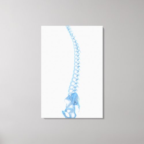 Conceptual Image Of Human Backbone 5 Canvas Print