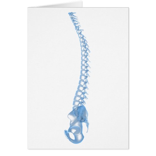 Conceptual Image Of Human Backbone 5 Cards (Front)