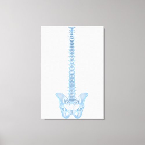 Conceptual Image Of Human Backbone 6 Canvas Print