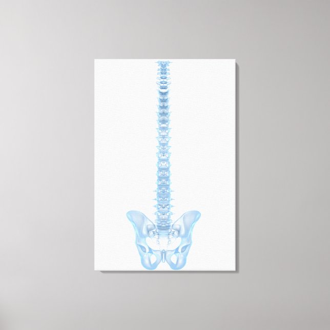 Conceptual Image Of Human Backbone 6 Canvas Print (Front)
