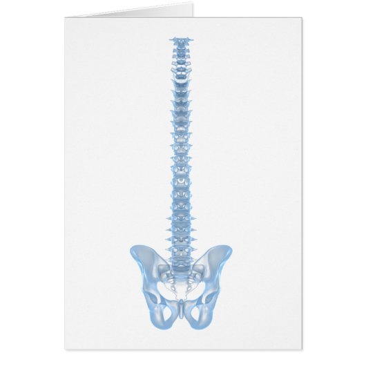 Conceptual Image Of Human Backbone 6 Cards (Front)