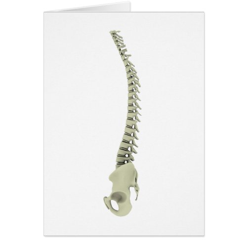 Conceptual Image Of Human Backbone 7