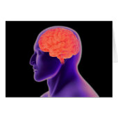 Conceptual Image Of Human Brain 1 (Front Horizontal)