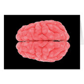 Conceptual Image Of Human Brain 10 (Front Horizontal)