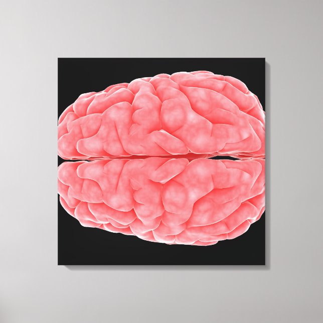 Conceptual Image Of Human Brain 10 Canvas Print (Front)