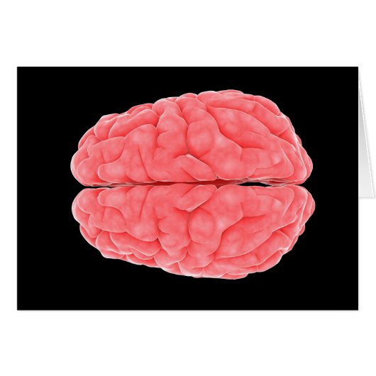 Conceptual Image Of Human Brain 10 Cards (Front Horizontal)