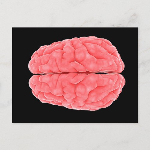 Conceptual Image Of Human Brain 10 Postcard