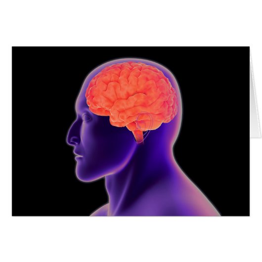 Conceptual Image Of Human Brain 1 Cards (Front Horizontal)
