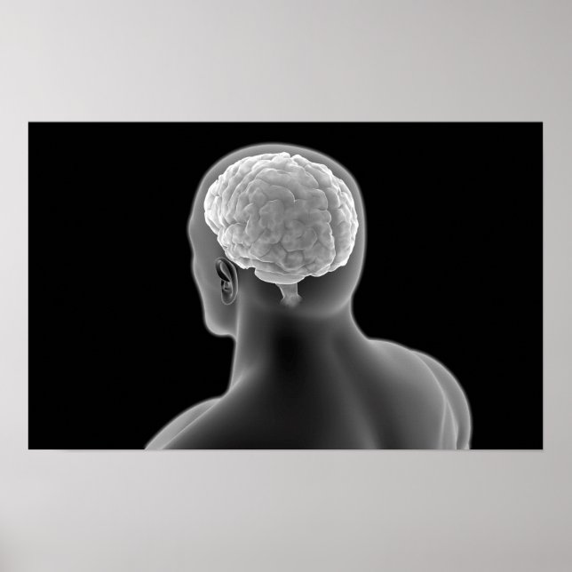 Conceptual Image Of Human Brain 2 Poster (Front)