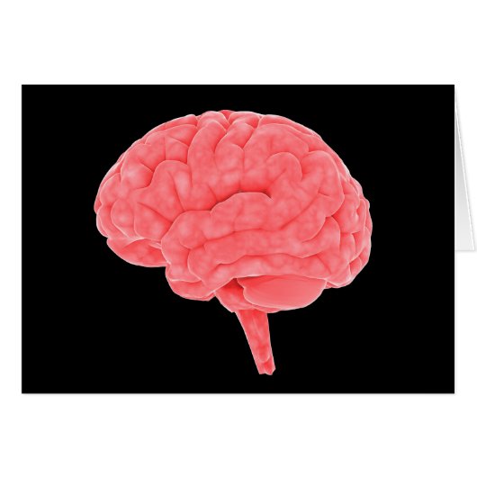 Conceptual Image Of Human Brain 4 Cards (Front Horizontal)