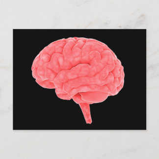 Conceptual Image Of Human Brain 4 Postcard