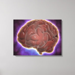 Conceptual Image Of Human Brain 6 Canvas Print