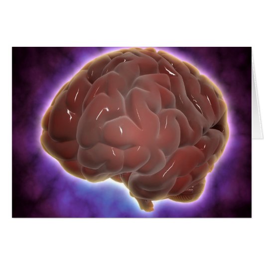 Conceptual Image Of Human Brain 6 Cards (Front Horizontal)
