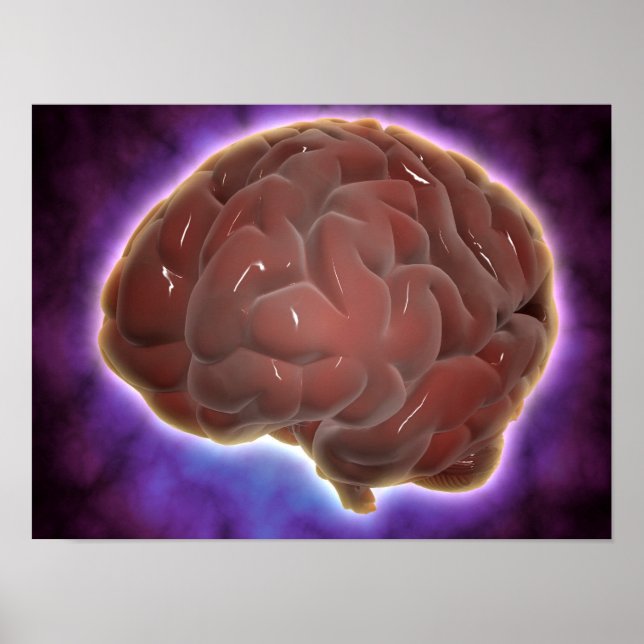 Conceptual Image Of Human Brain 6 Poster (Front)