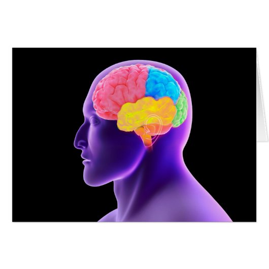Conceptual Image Of Human Brain 7 Cards (Front Horizontal)
