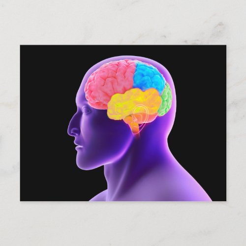 Conceptual Image Of Human Brain 7 Postcard
