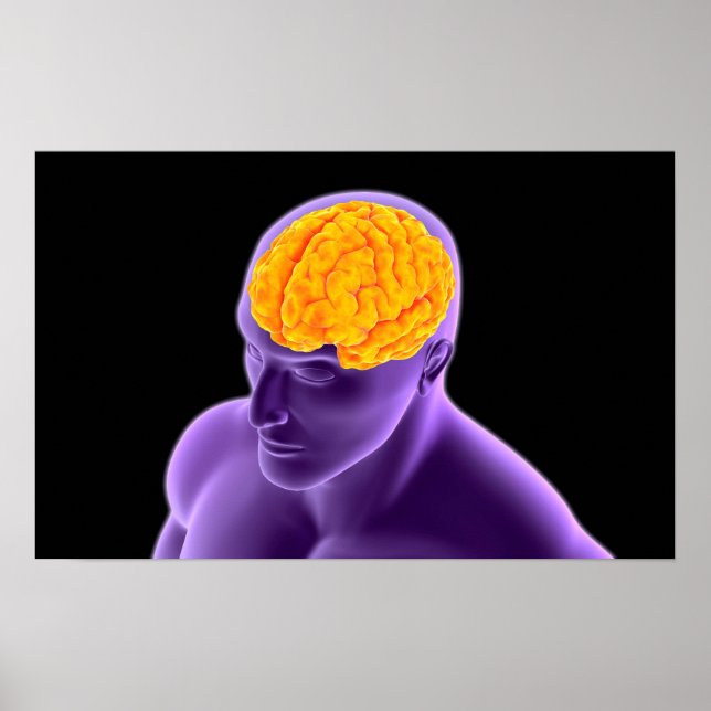 Conceptual Image Of Human Brain 8 Poster (Front)