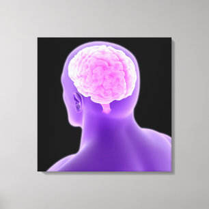 Conceptual Image Of Human Brain 9 Canvas Print