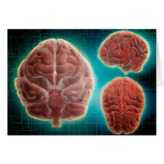 Conceptual Image Of Human Brain At Different Cards (Front Horizontal)