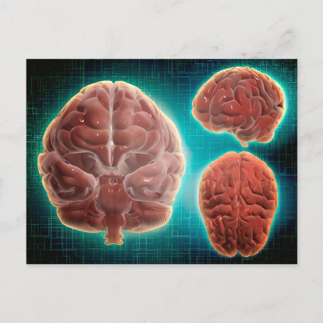 Conceptual Image Of Human Brain At Different Postcard (Front)