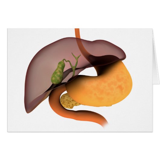 Conceptual Image Of Human Digestive System 1 Cards (Front Horizontal)