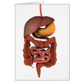Conceptual Image Of Human Digestive System 2 Cards (Front)