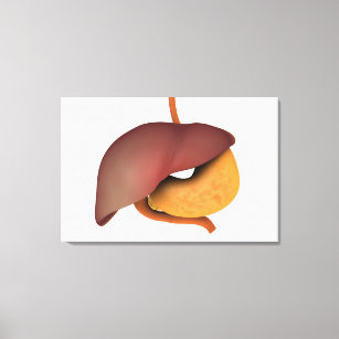 Conceptual Image Of Human Digestive System 3 Canvas Print