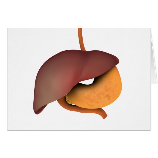 Conceptual Image Of Human Digestive System 3 Cards (Front Horizontal)