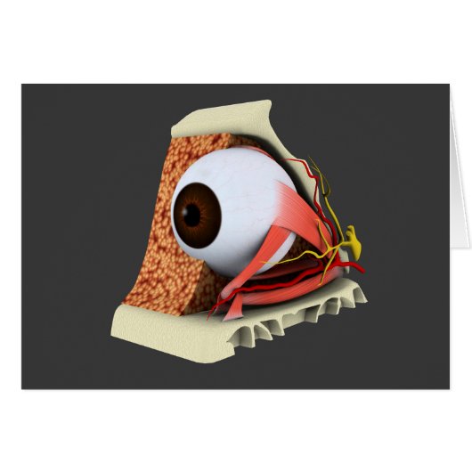 Conceptual Image Of Human Eye Anatomy 1 Cards (Front Horizontal)