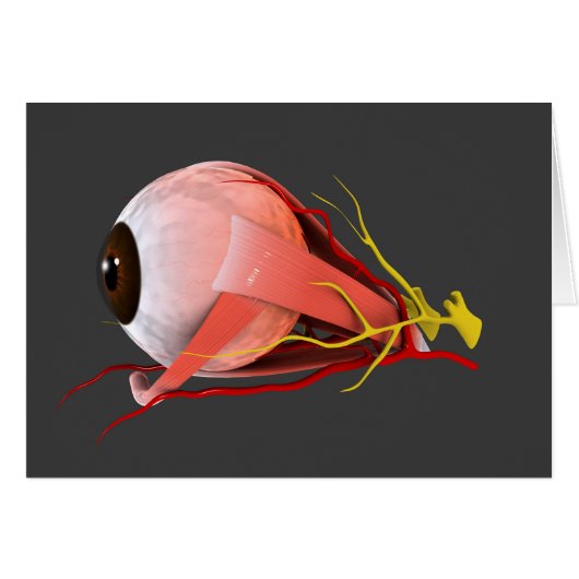 Conceptual Image Of Human Eye Anatomy 2 Cards (Front Horizontal)