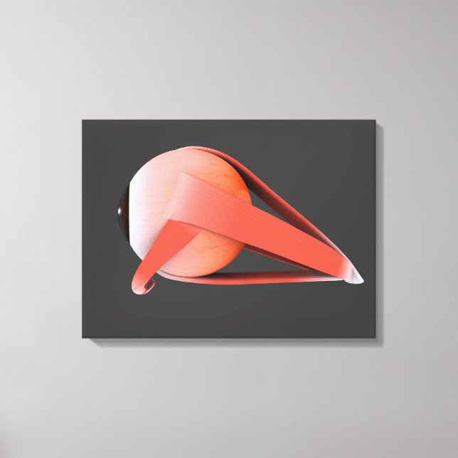Conceptual Image Of Human Eye Anatomy 7 Canvas Print (Front)