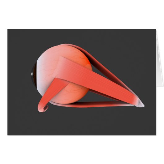 Conceptual Image Of Human Eye Anatomy 7 Cards (Front Horizontal)