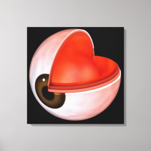 Conceptual Image Of Human Eye Anatomy 8 Canvas Print