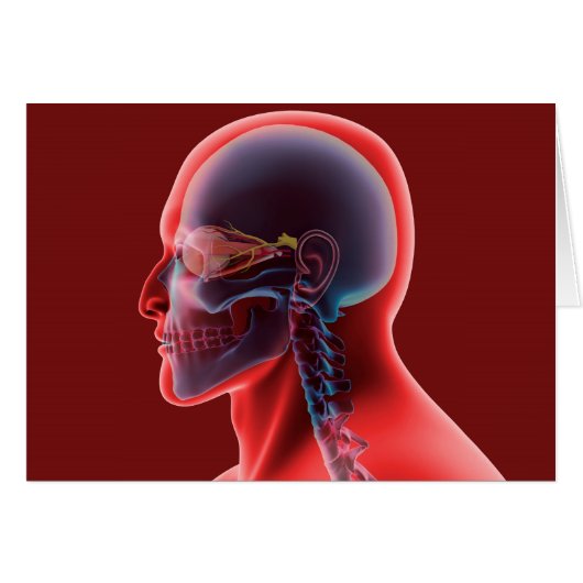 Conceptual Image Of Human Eye And Skull Cards (Front Horizontal)