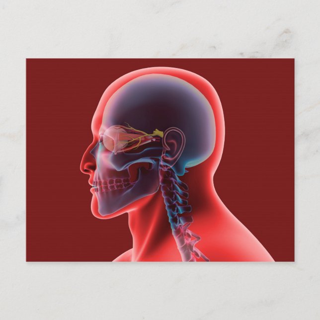 Conceptual Image Of Human Eye And Skull Postcard (Front)