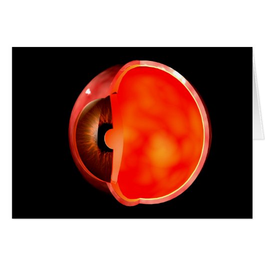 Conceptual Image Of Human Eye Cross Section 1 Cards (Front Horizontal)