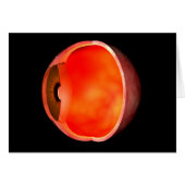 Conceptual Image Of Human Eye Cross Section 2 (Front Horizontal)
